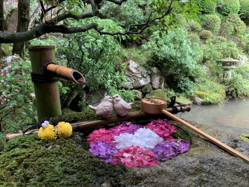 そうだ、京都へ行こう-その2