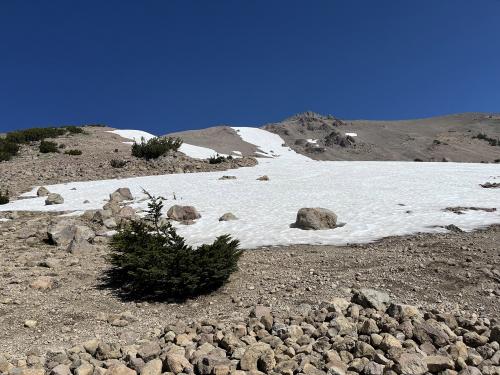 アメリカの北のほうに動物を探しに行く旅　その3　おまけのラッセン火山国立公園