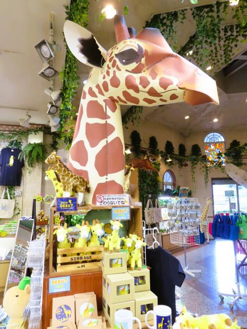 2025年夏の伊豆シャボテン動物公園はまだベビーラッシュ（１）アクセス・ホテル以外での食事・みやげの買い物＆シャボテン館の植物と食虫植物展