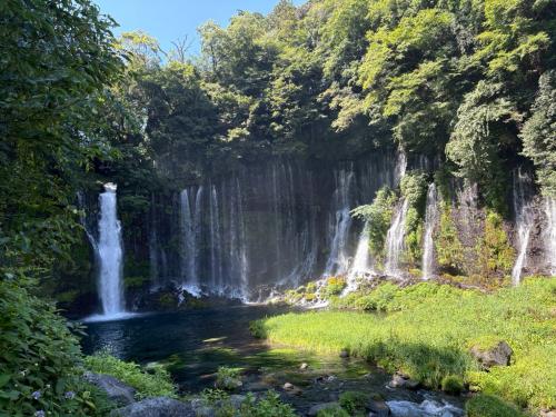 富士宮ドライブ・白糸の滝とひまわり畑