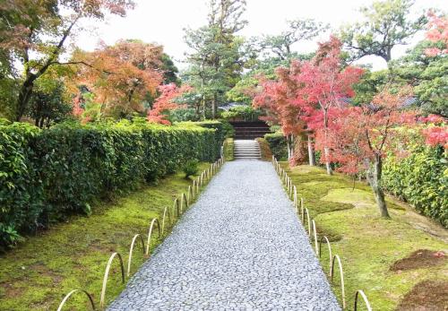 紅葉の桂離宮から侍タイムスリッパ・・・