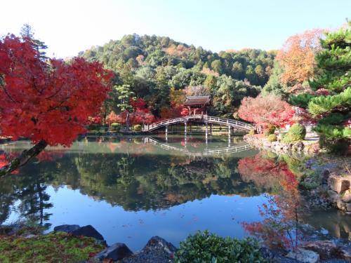 2025年永保寺の紅葉