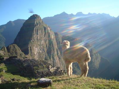 いざ天空都市マチュピチュへ