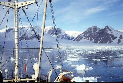 南極航海写真館