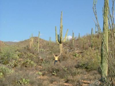 Tucsonに半分仕事半分、、、、、