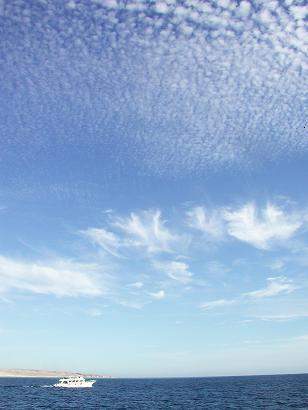 憧れの紅海レッド・シーで海辺生活