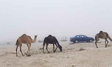 ２００３年３月のカタール