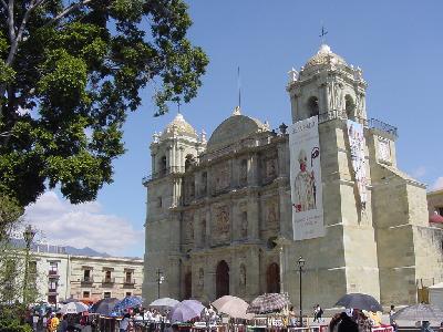 Agave@Oaxaca　　メキシコの魅力満載、オアハカってどんな所？