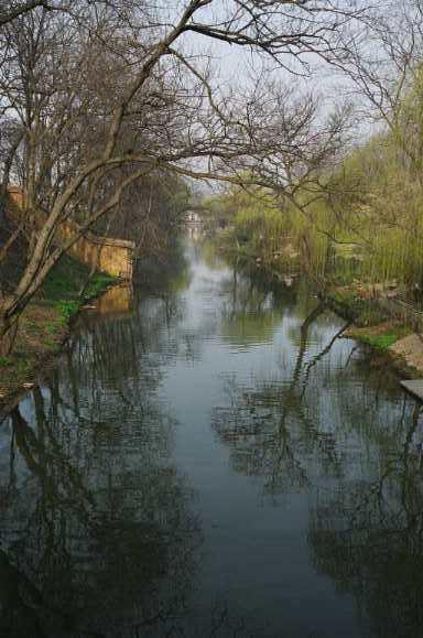 揚州運河の花鳥市場