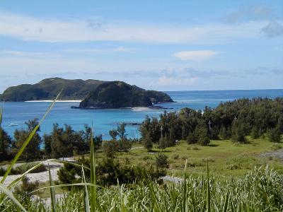 座間味ダイビング