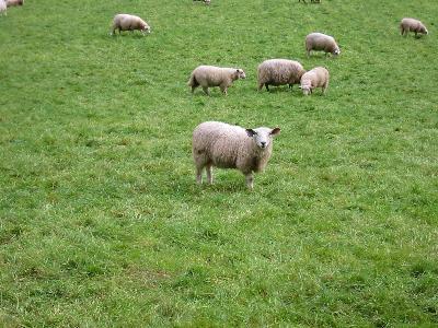 北欧旅行記ノルウェー編その４