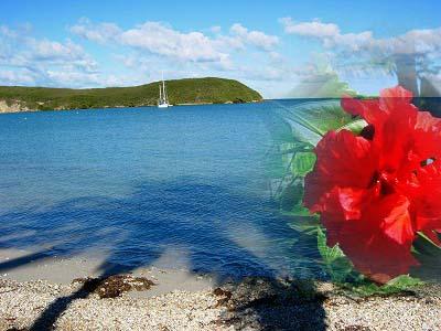 きれいな海を見ながらまったりしたくって