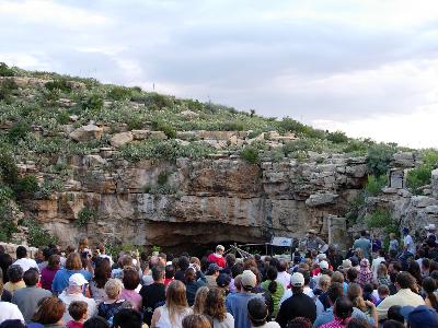 カールスバッド国立公園の蝙蝠