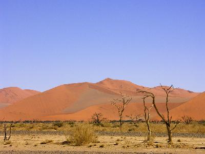 Southern Africa AUG-2004, I - ナミブ砂漠