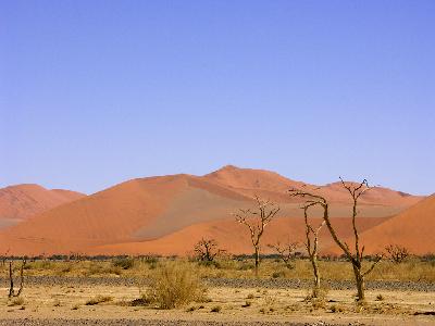 Southern Africa AUG-2004, I - ナミブ砂漠