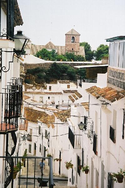 酔って、ミハス