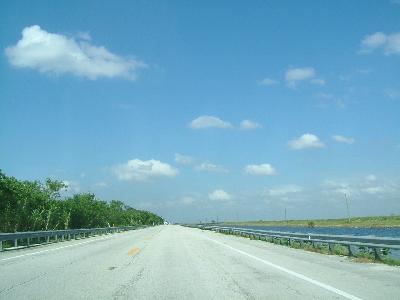 エコツアー in エバーグレーズ