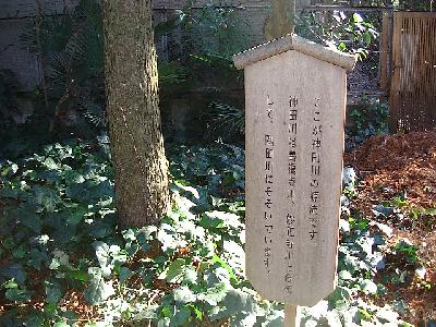 神田川物語【井の頭公園】