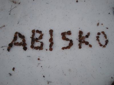 北欧一人旅・その3 in Abisko