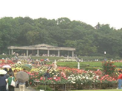 東京都神代植物公園