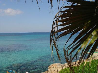 嘆きのキプロス島