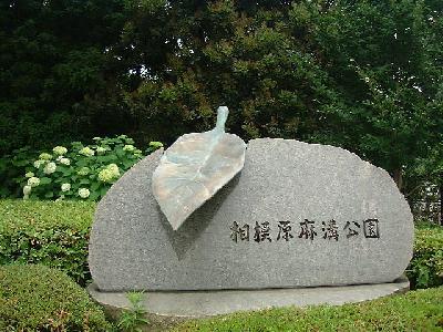 相模原市立 相模原麻溝公園