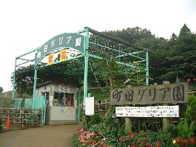 町田ダリア園