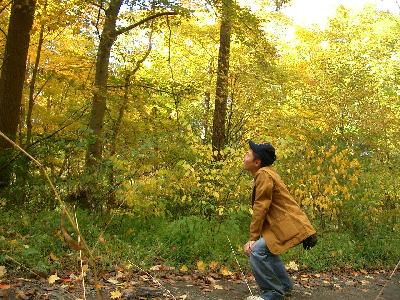 仕事だけど楽しもうダイアリー