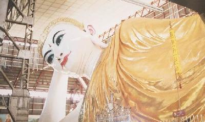 みゃんまーだみゃー