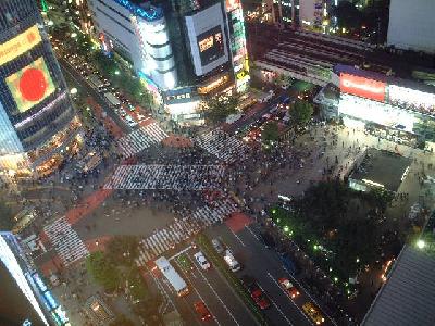 一時帰国その?東京→箱根→名古屋