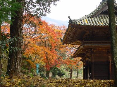 金比羅寺（愛媛）の秋