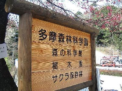 多摩森林科学園