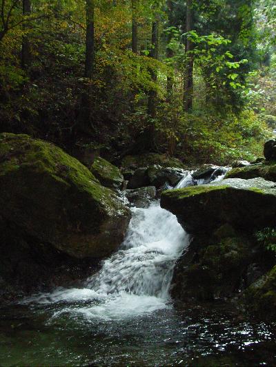 何度でも来たくなる村・檜原村PART2