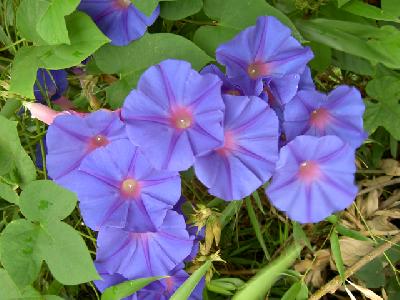 ’04ポルトガル day5-1 ポルト～コインブラ