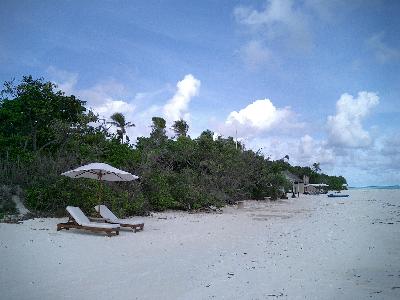 一生に一度の思い出・・・アマンプロにて