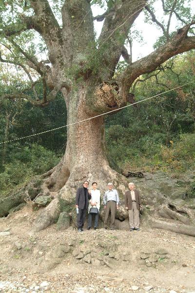 景徳鎮・旅日記『No.６　』　カオリンの故郷