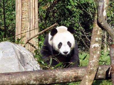 中国・四川省の旅・・旅いつまでも