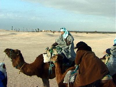 チュニジアの旅(2)・・旅いつまでも