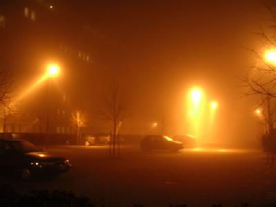 夜霧のDen Bosch