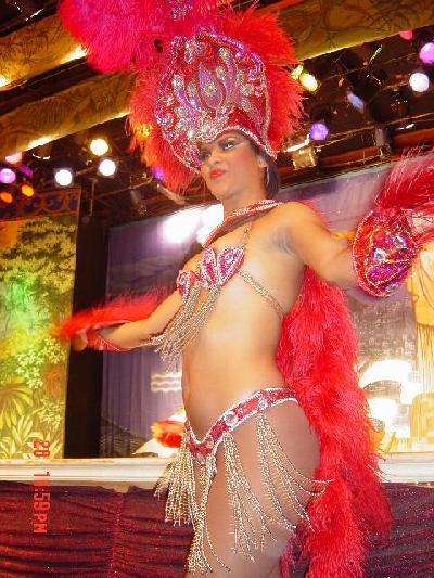 リオのサンバショーへようこそ！