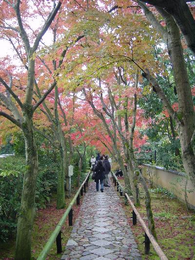 紅葉の京都