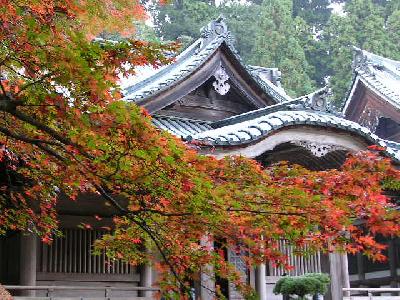 大雄山線で行く、『大雄山道了尊』