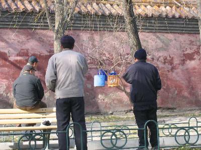 北京で見た庶民の娯楽