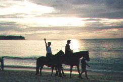 タイ(プーケット編)-3