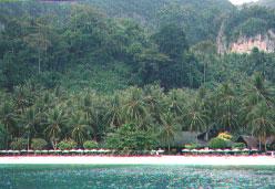 タイ(ピピ島編)-2