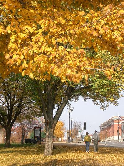 スミソニアン美術館をぶらぶら