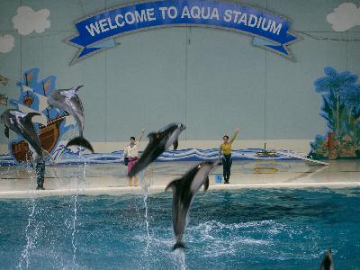 シーパラダイスで丸一日遊んだよ～♪