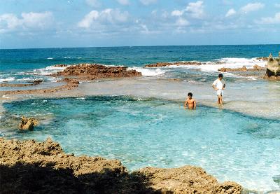 ロタ島とグァム島の旅　その?(ロタ島編)