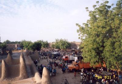 アツイぜ!マリ? in ジェンネ