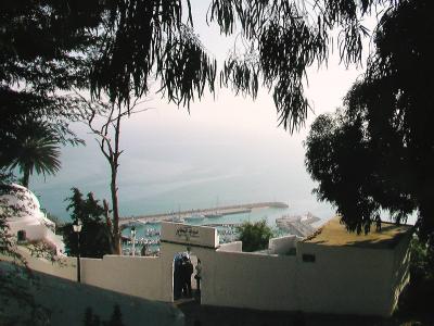 チュニジアの旅【７】　　チュニジアンブルーの町　シディ・ブ・サイド